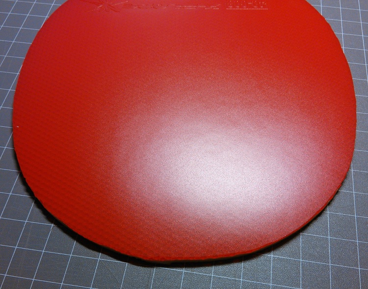 ���������������� ���������棩