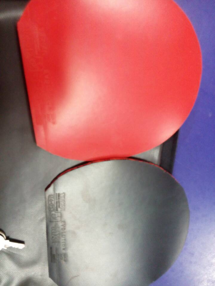 300�������������2��ͦ��MXP��FXP��ɫ����