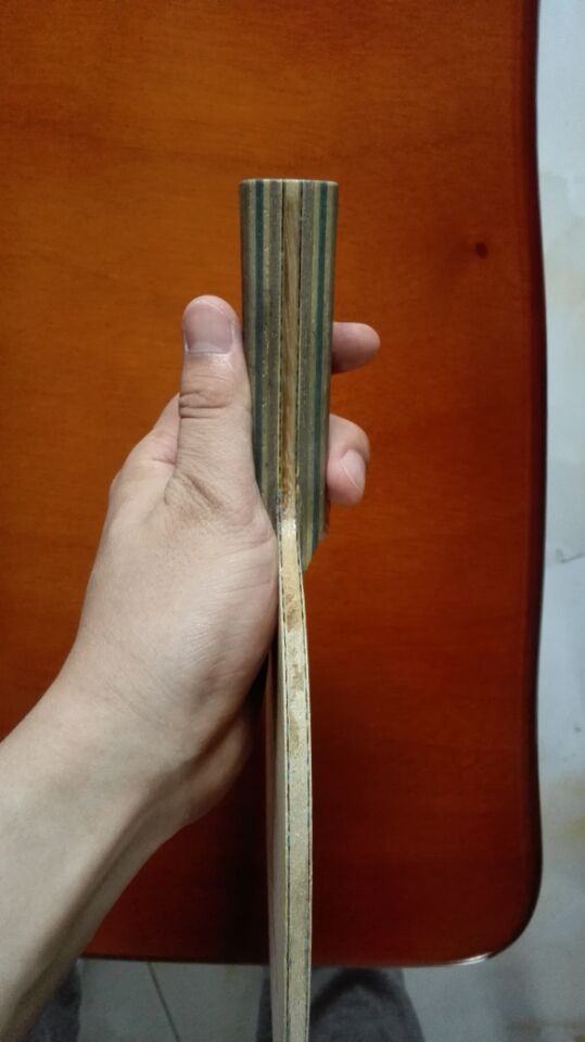 �����ѳ�С����N��VIS