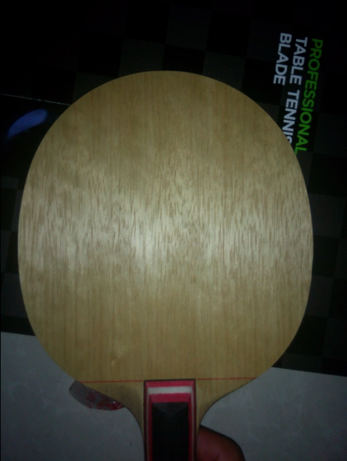 [ԭ��]��˹�ٿ�145,600��˳�ᣬ��Ҷ�������...