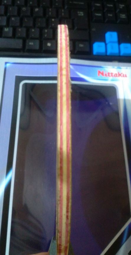 400����˳�ᣩ�� �����������