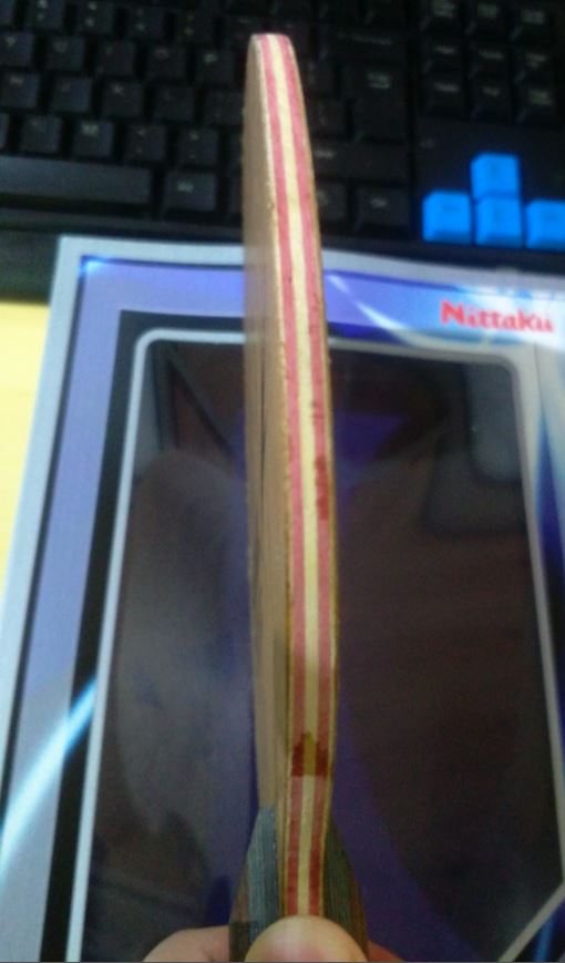 400����˳�ᣩ�� �����������