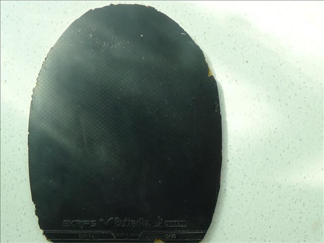 �����µ÷��ƺ�����