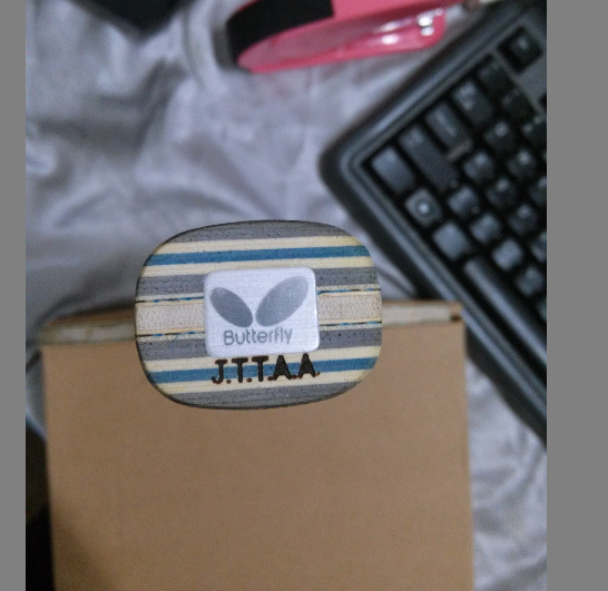 ���л�����VIS��FL����֧��������