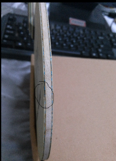 ���л�����VIS��FL����֧��������