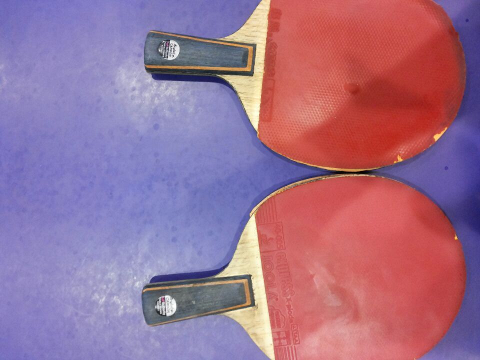 [ԭ��]�������ѱ���չ����������������