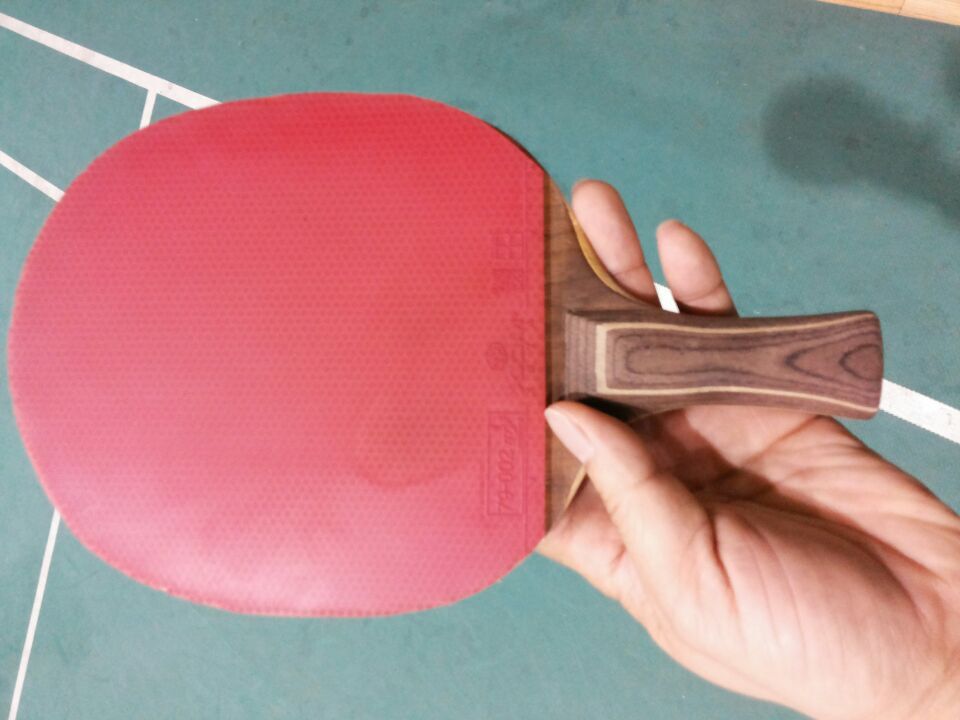 [ԭ��]�������ѱ���չ����������������