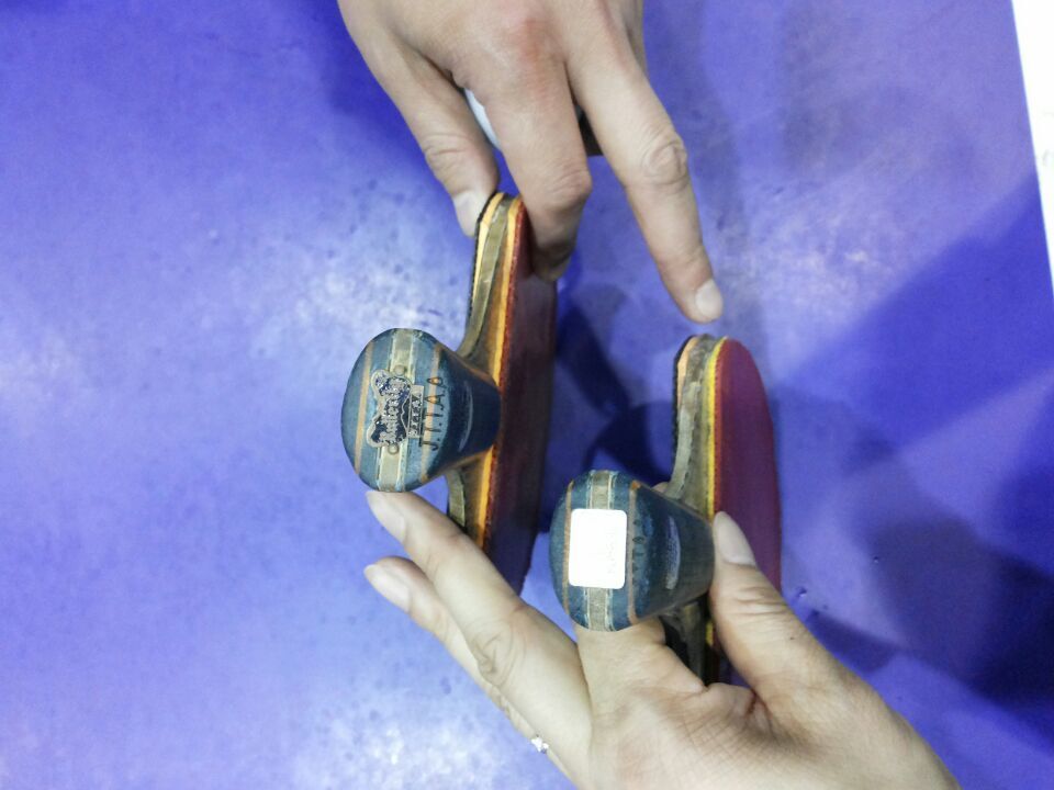 [ԭ��]�������ѱ���չ����������������