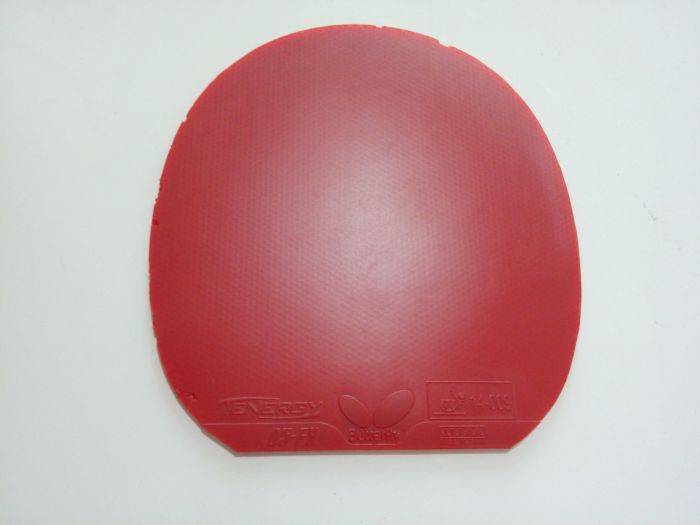 ��T05FX��3��3�ڡ�