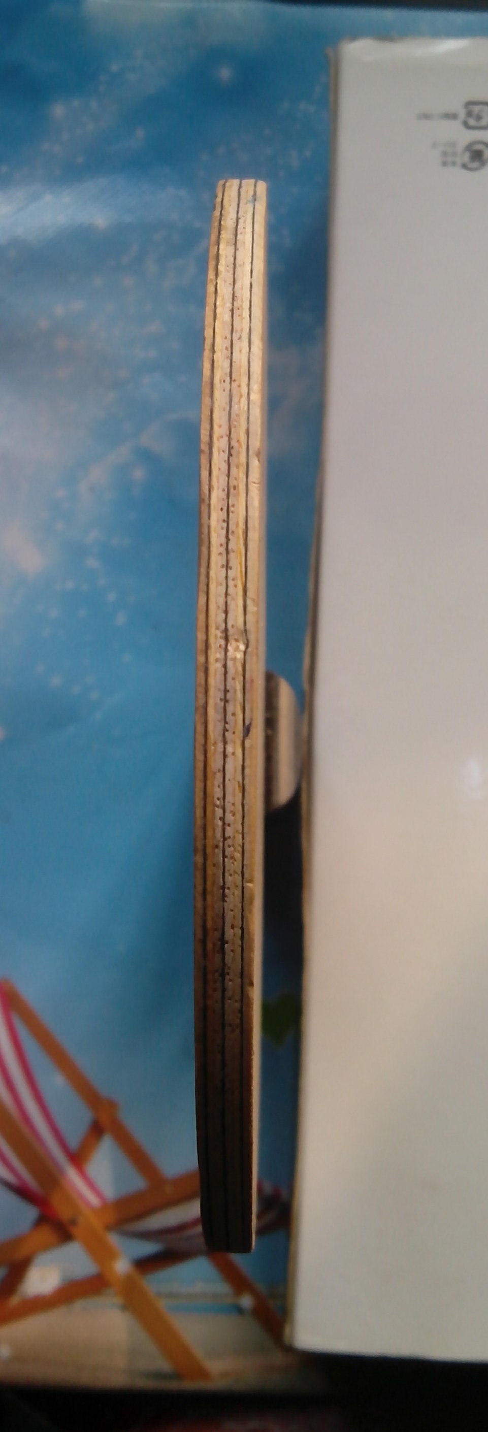 [����]������̼���ʻ������??