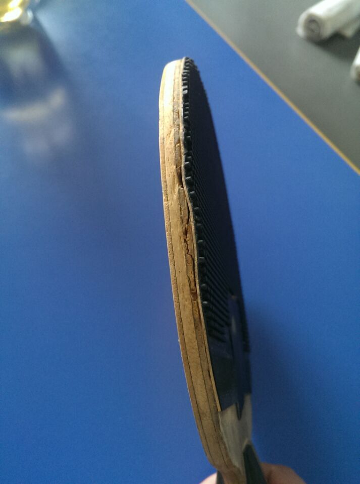 ���ϻƱ���꡿