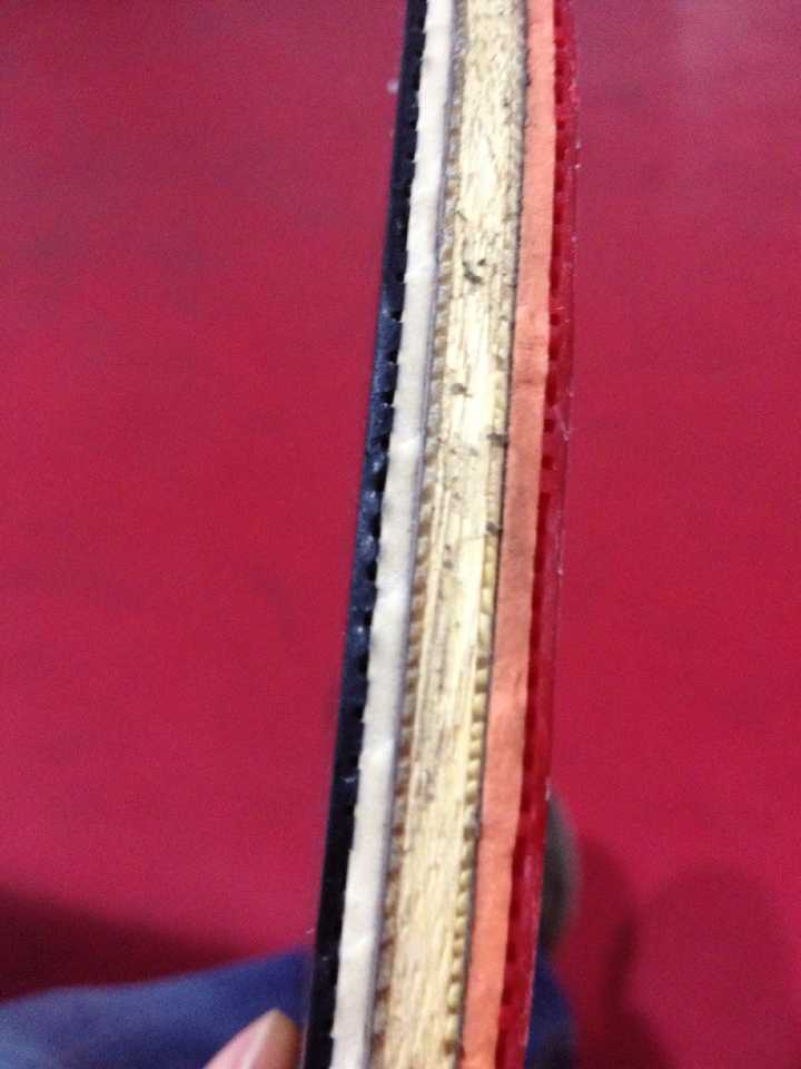 �� ��Ȧ�����--˹�ٿ�OC-CR-WRB