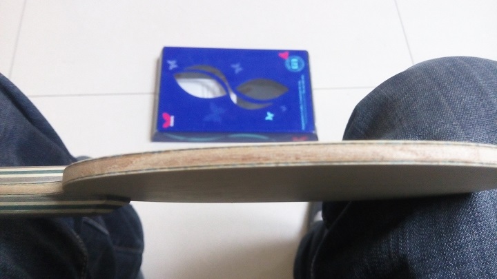 ֧��������������viscaria)��ע��1800���ʡ�