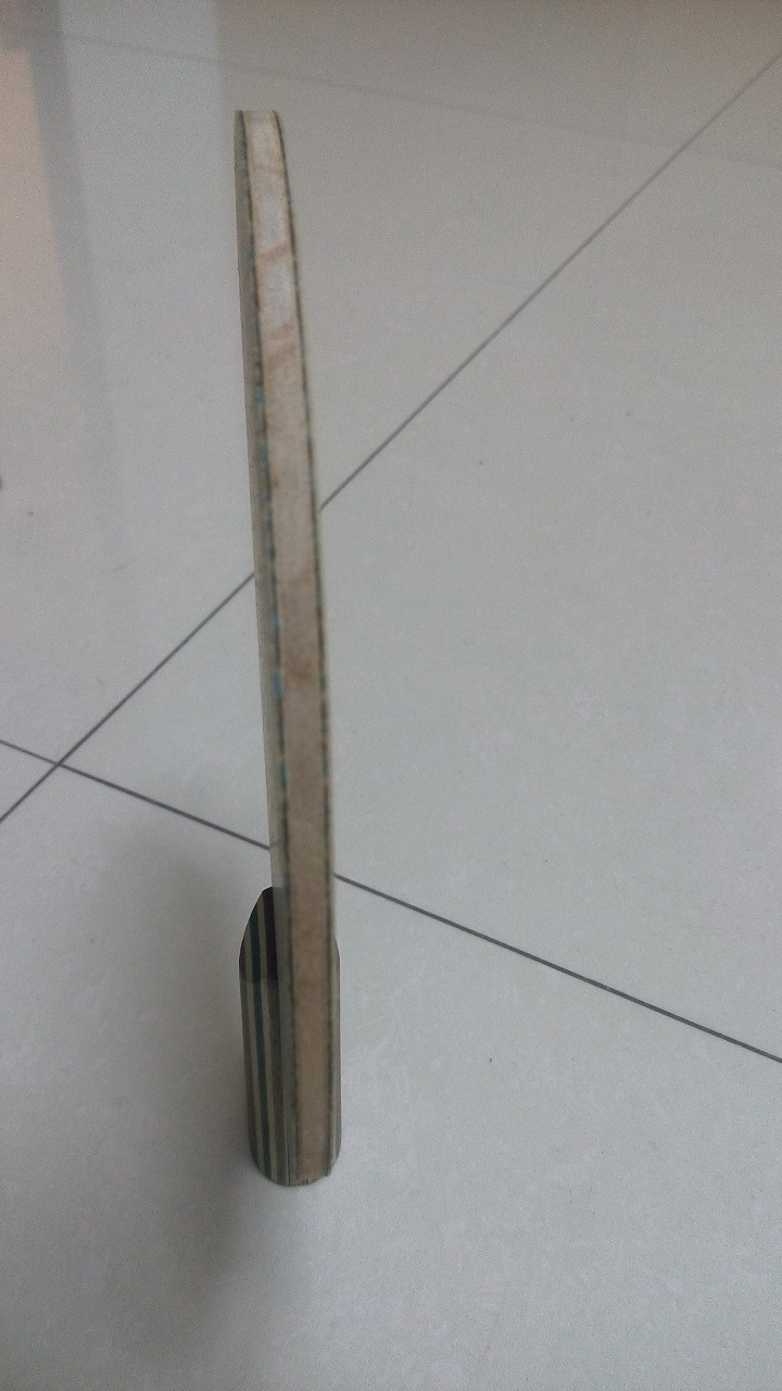 ֧��������������viscaria)��ע��1800���ʡ�