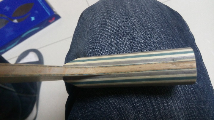 ֧��������������viscaria)��ע��1800���ʡ�