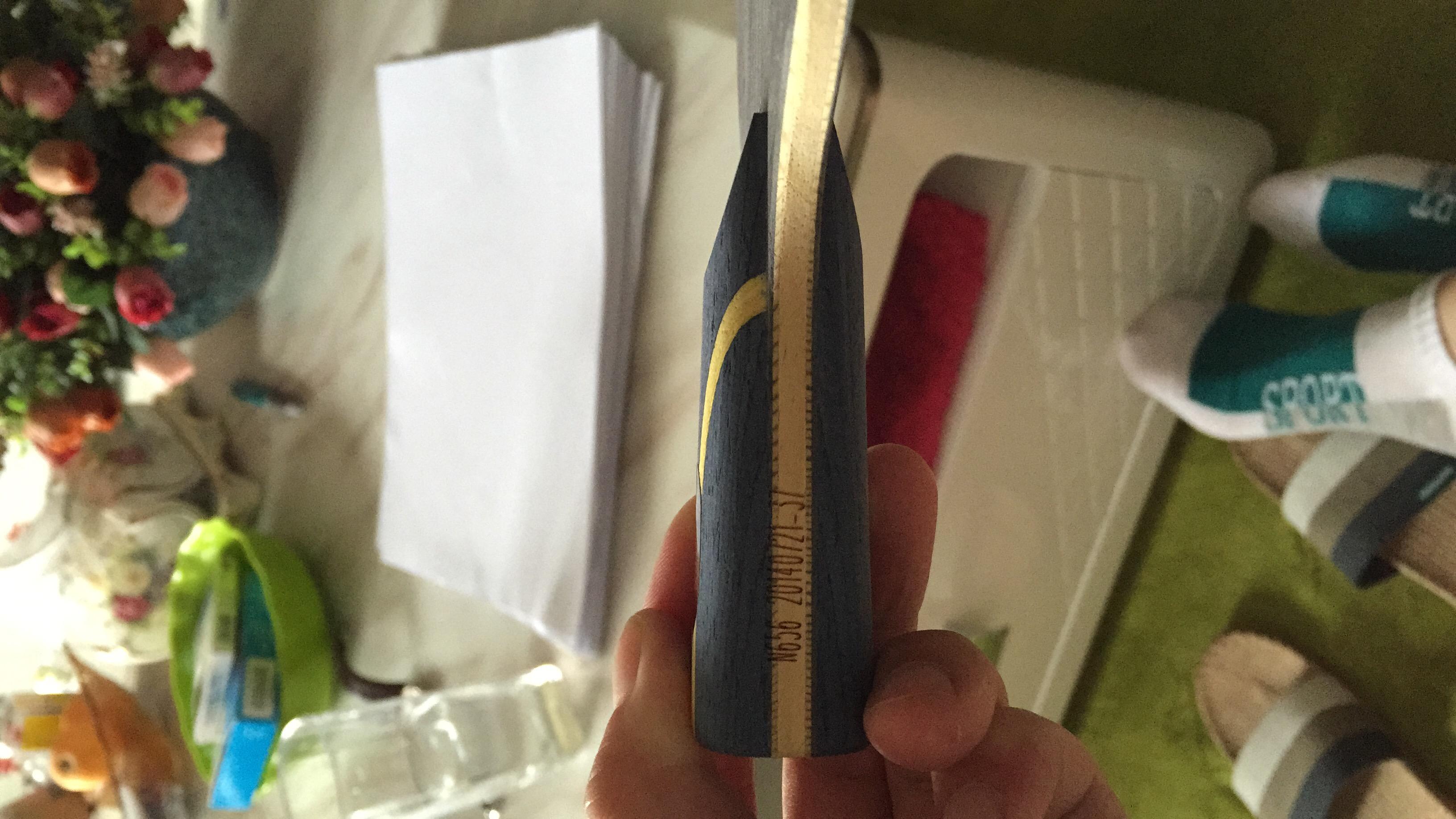 ��ֻ��һ�ε�N656����һ���ع�