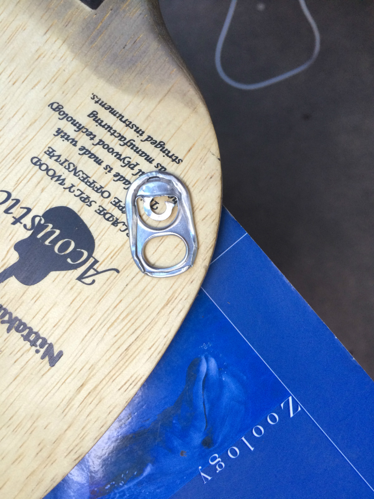 �ؿ�����һ��Nittakuľ���� ֱ��