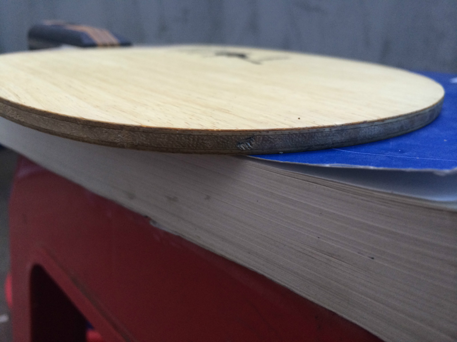 �ؿ�����һ��Nittakuľ���� ֱ��