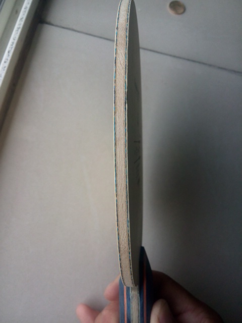 ����һ��Tbs