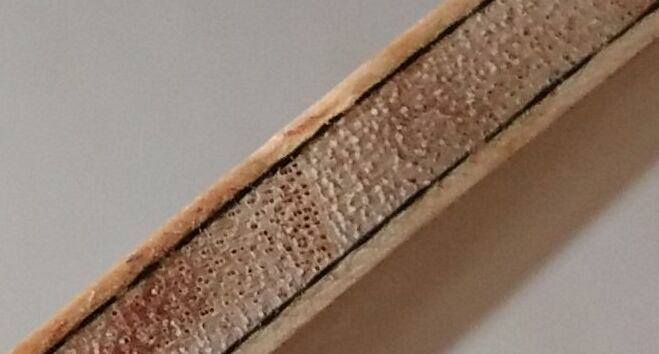 ���ѳ����ϴ�˹ sc ̼�� �ݶ�300