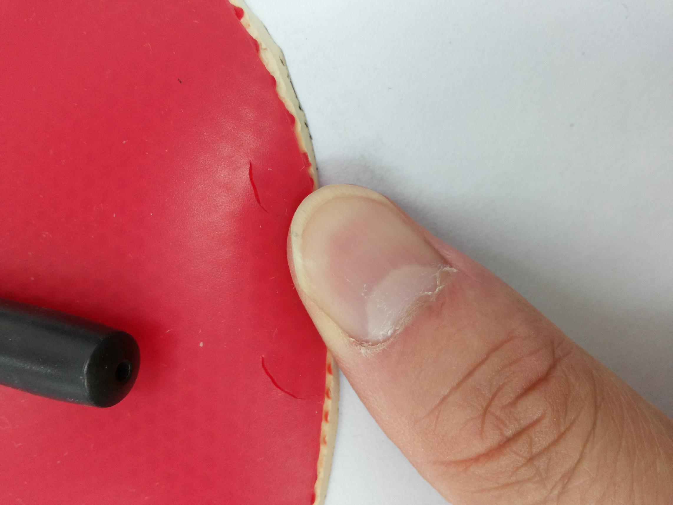 [ԭ��]9�¶����F1��Ƥ������