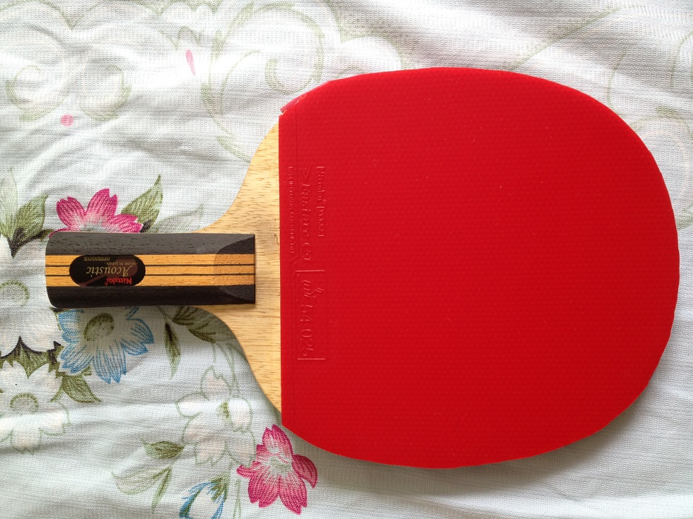 ����ת���հ�ֱ�ģ� Nittaku ľ������Nittaku ���� Yasaka YEO