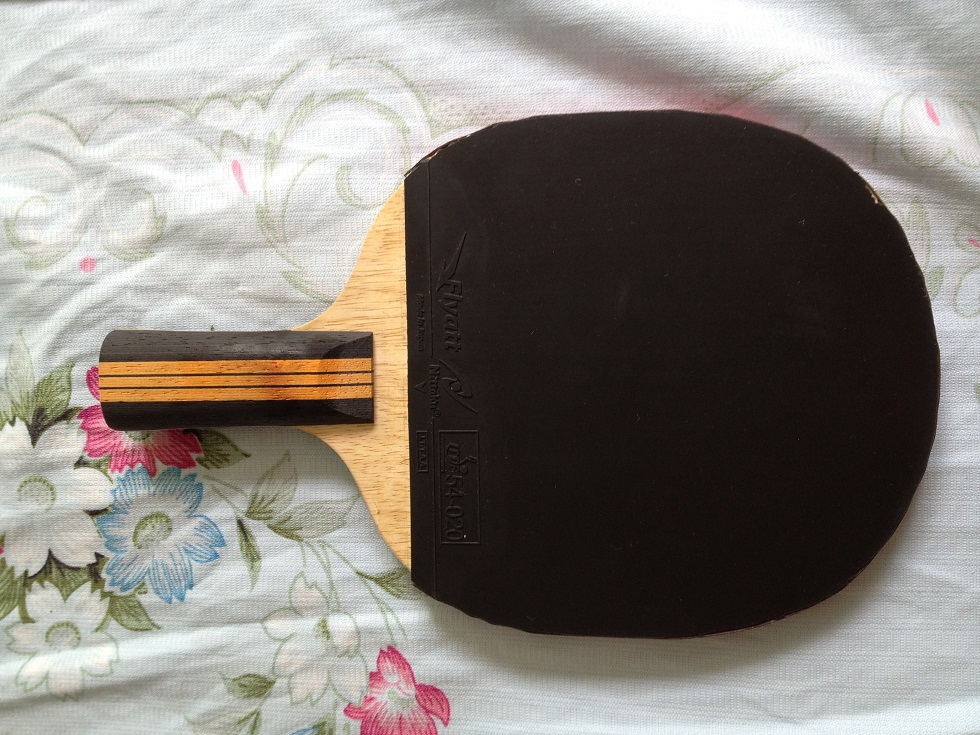 ����ת���հ�ֱ�ģ� Nittaku ľ������Nittaku ���� Yasaka YEO