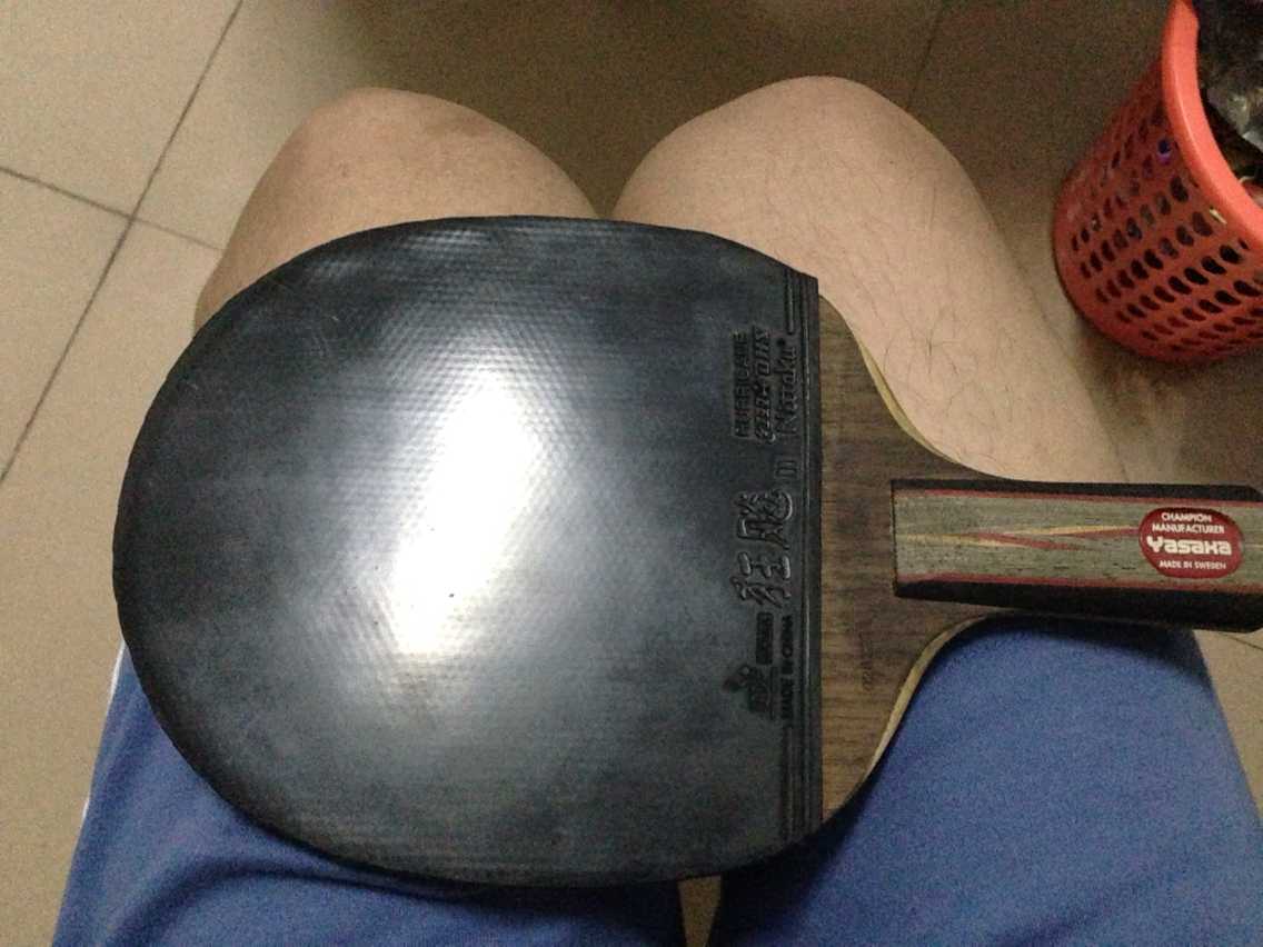 쭡ᡣ120