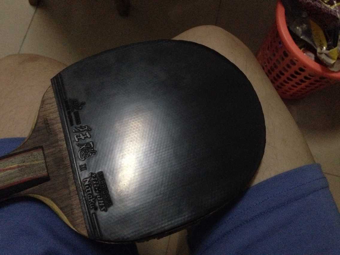 쭡ᡣ120
