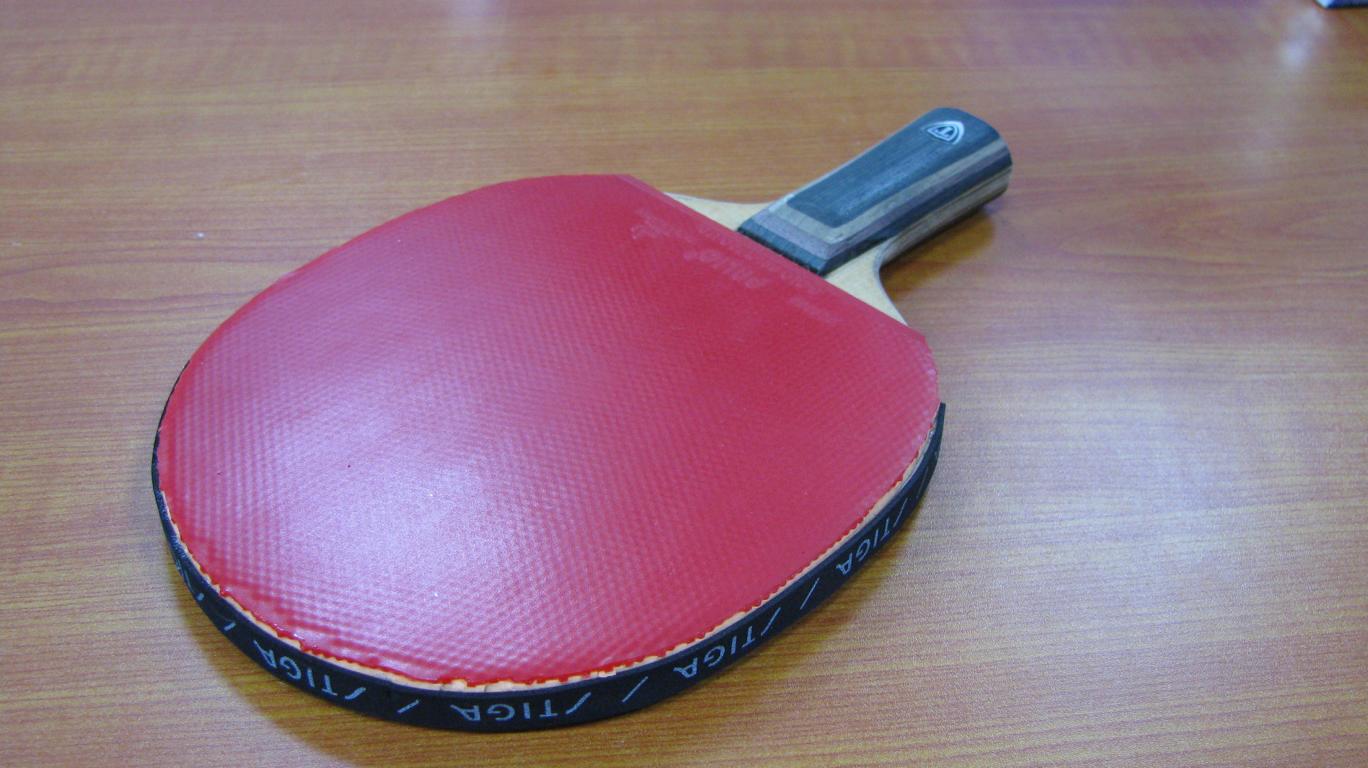 @@@������˹��ͼ��������310Ԫ���տ�˦�ˣ�����