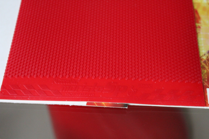 �������ˡ����������������������������������������Ŷ