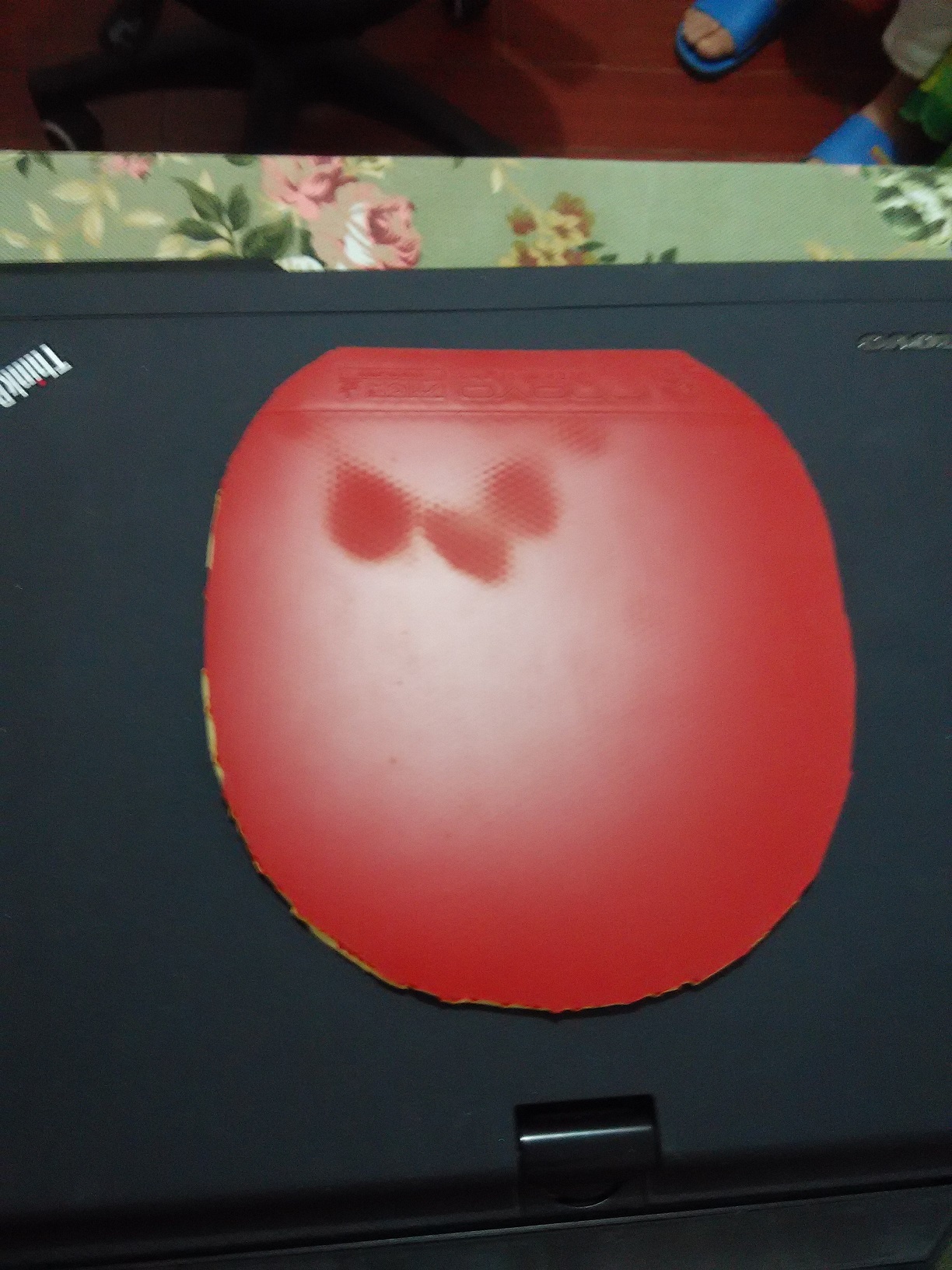 ����һŵ�����죬50���ʡ�