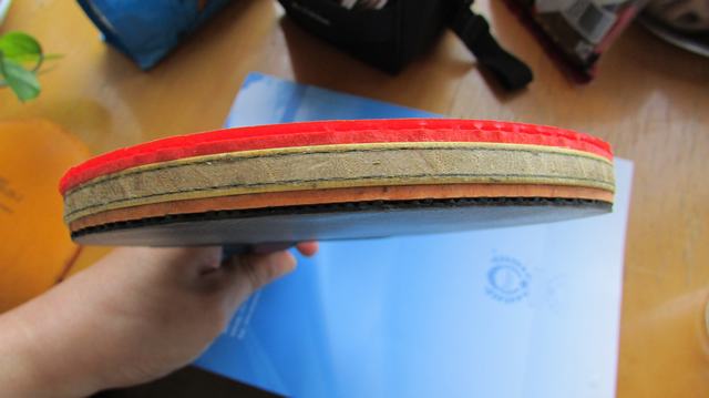 ��������ľ����8����3��һ��1000Ԫ������