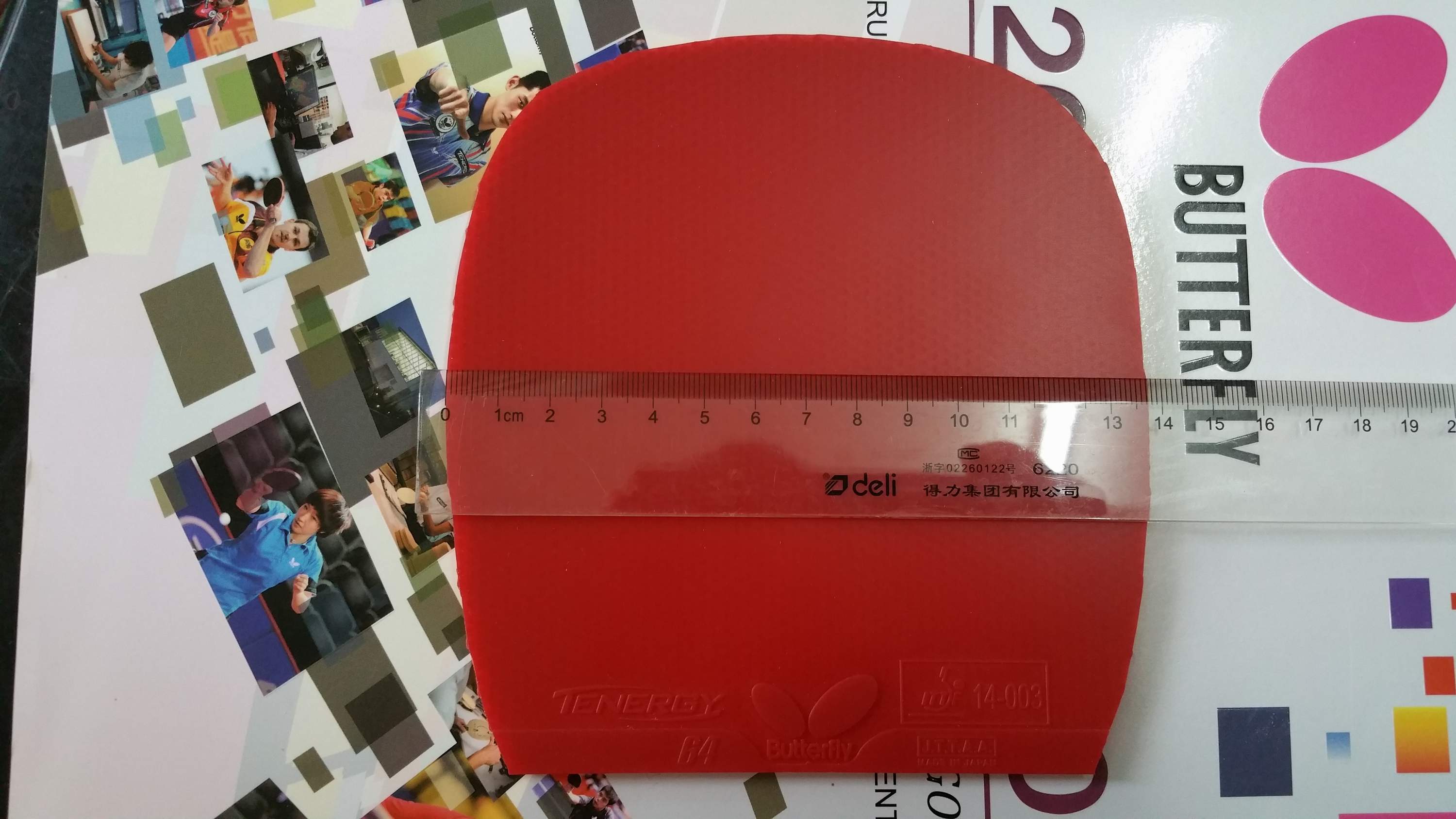 �������������T64��ɫһ�ţ���ɫ���ã�260Ԫ�����