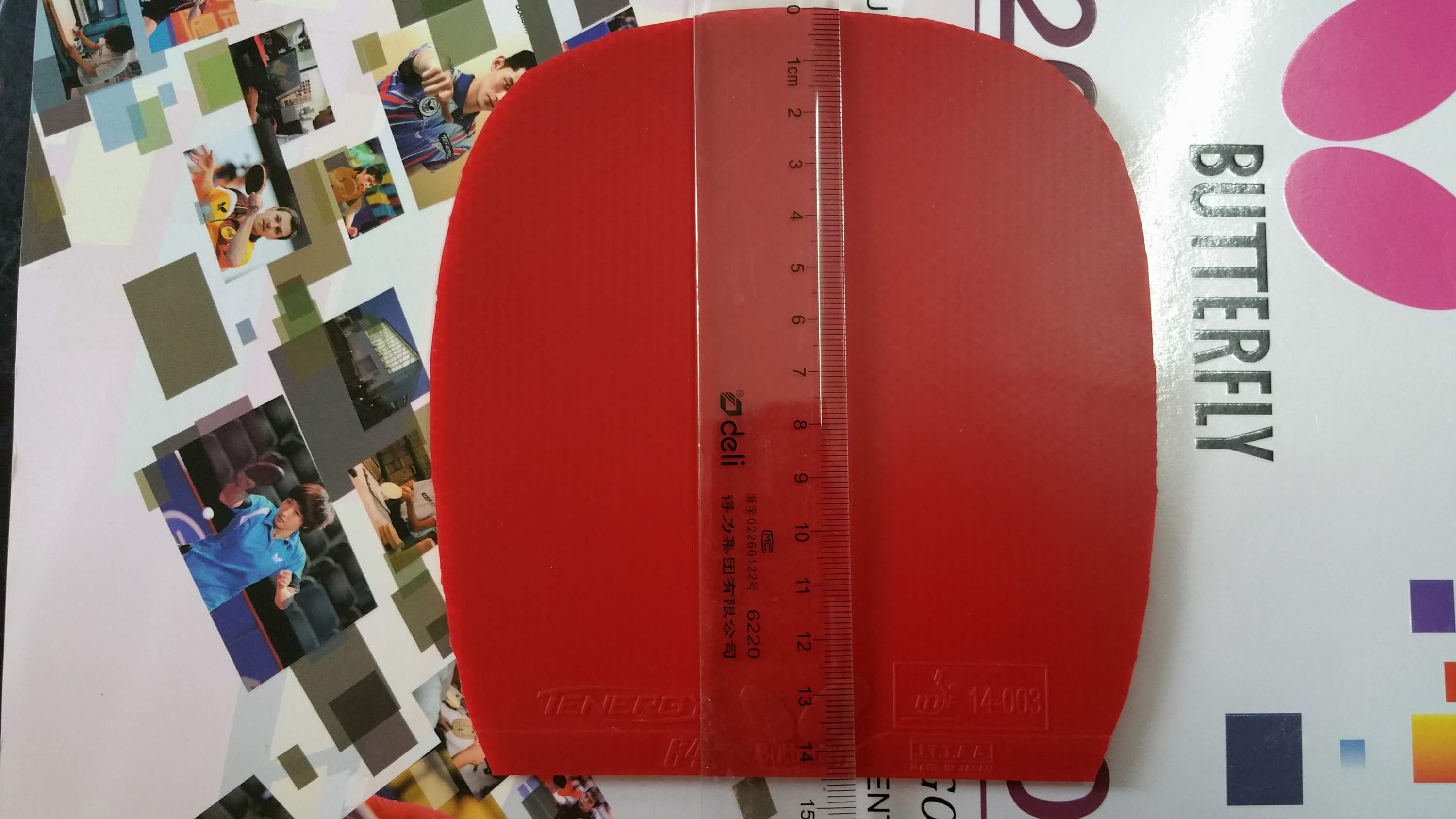 �������������T64��ɫһ�ţ���ɫ���ã�260Ԫ�����