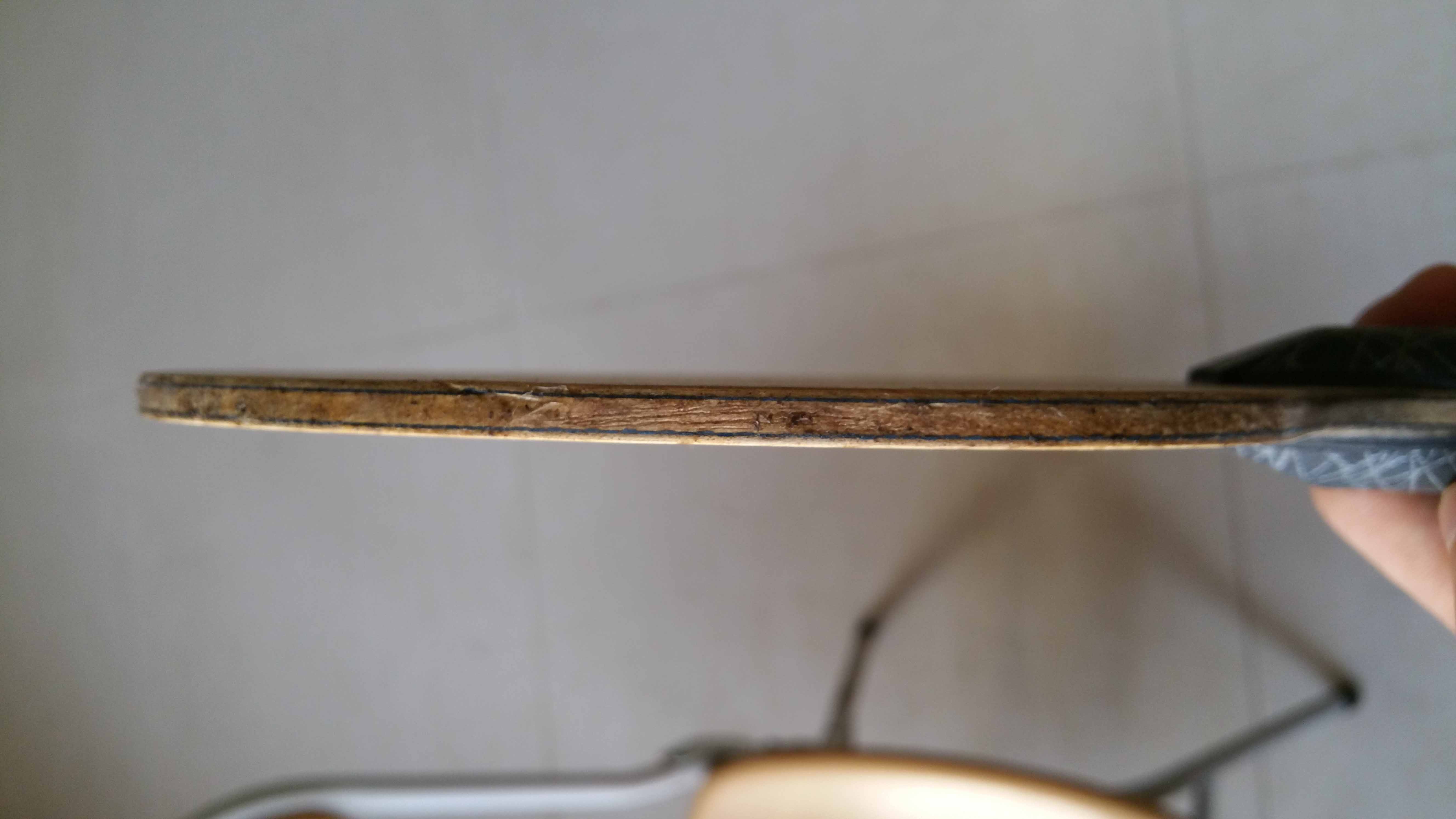 280�ľ��仡Ȧ����̼֩����