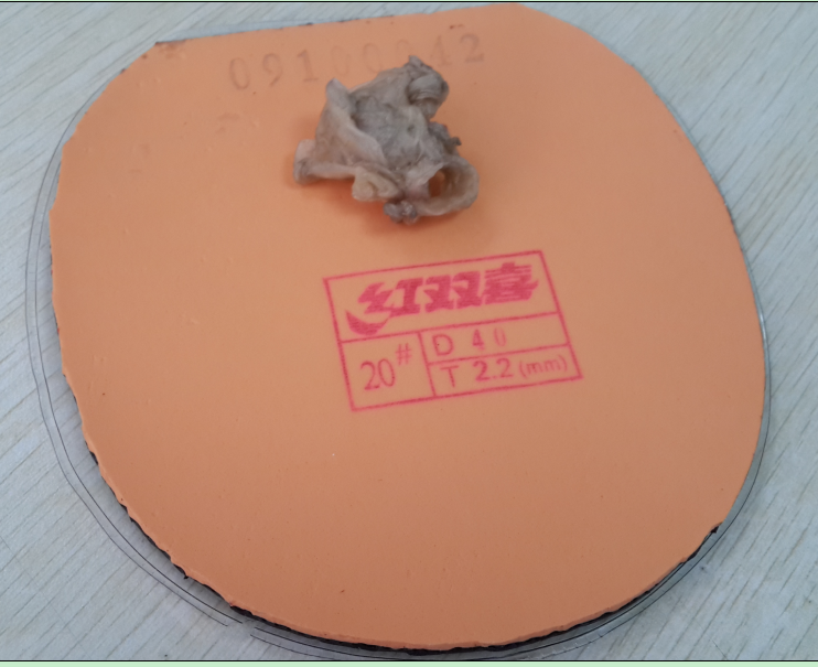 ���������ѳ�����ͼƬ���Ѵ�������㶫������