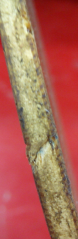 �ײ˼ۣ��л�Yeo��һ�տ�����89�ˣ�������Yeo���۸�250��qq:120745908��