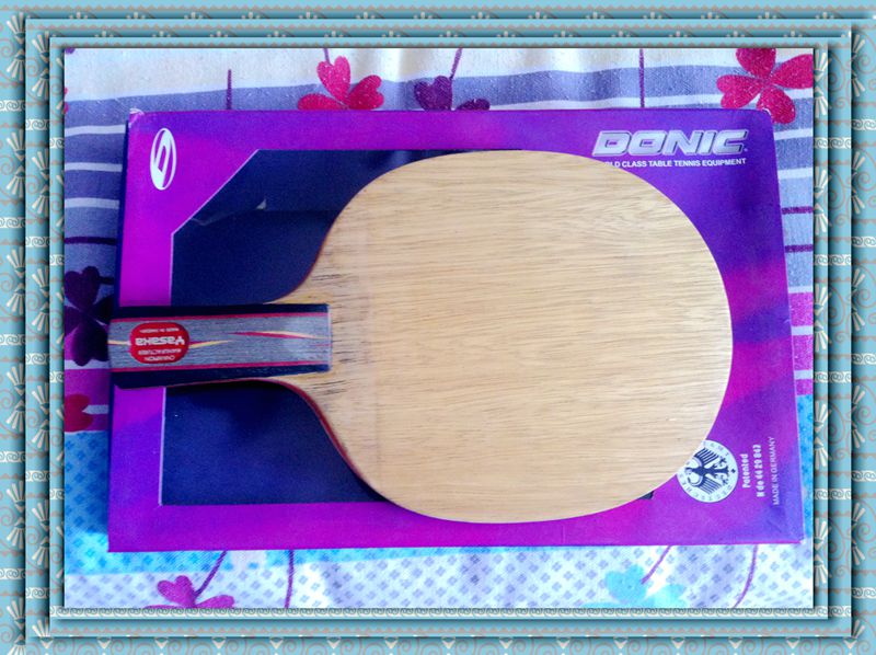 ����YES.����05.��64.֩����һ�ѡ�