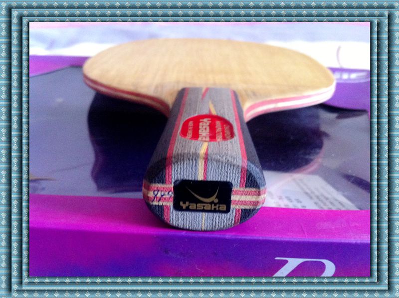 ����YES.����05.��64.֩����һ�ѡ�