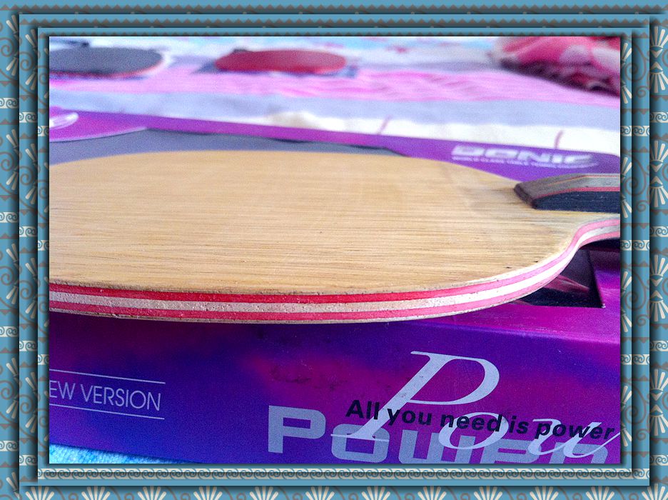 ����YES.����05.��64.֩����һ�ѡ�