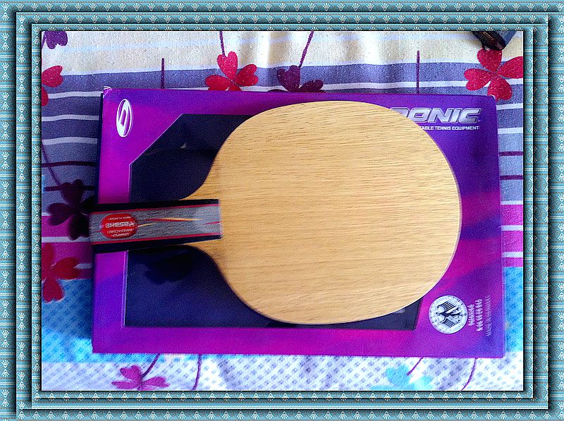 ����YES.����05.��64.֩����һ�ѡ�