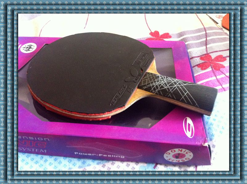 ����YES.����05.��64.֩����һ�ѡ�