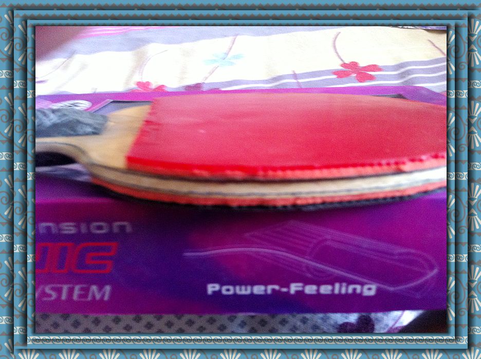 ����YES.����05.��64.֩����һ�ѡ�