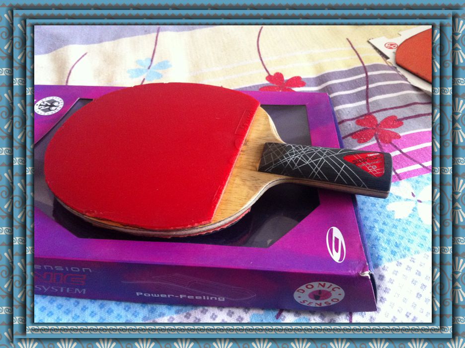 ����YES.����05.��64.֩����һ�ѡ�