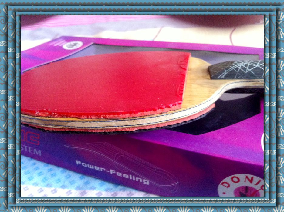 ����YES.����05.��64.֩����һ�ѡ�