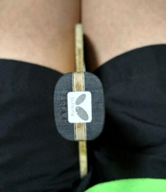 ~~~~~~~~~~�����ţ�650��˳��