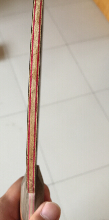 ����906���Ӱ��л�õ��7�����ѳ�����