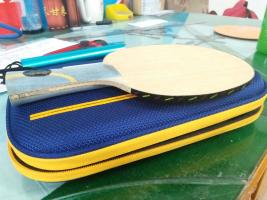 ��һ�Ѽ�ƷVIS��Ҫ��������ݣ�����С����W968��