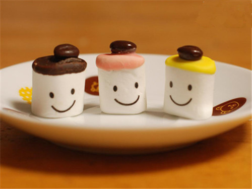 ���������й�ƹ����װ������ĳ�ʶ